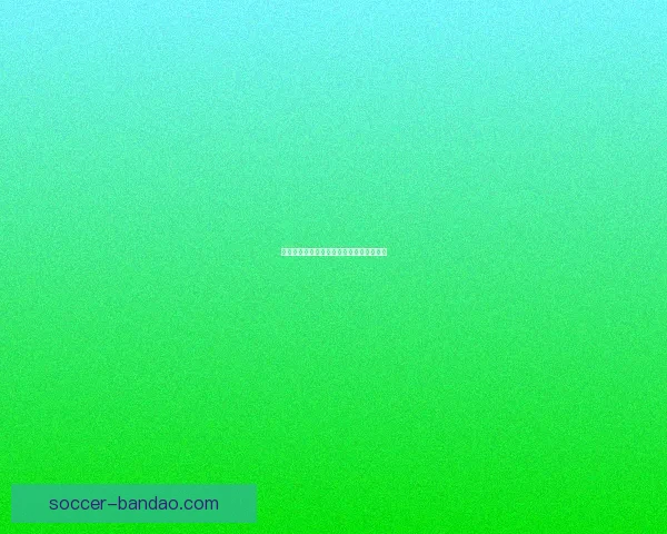 美洲三国携手世界杯共同打造激情足球盛宴