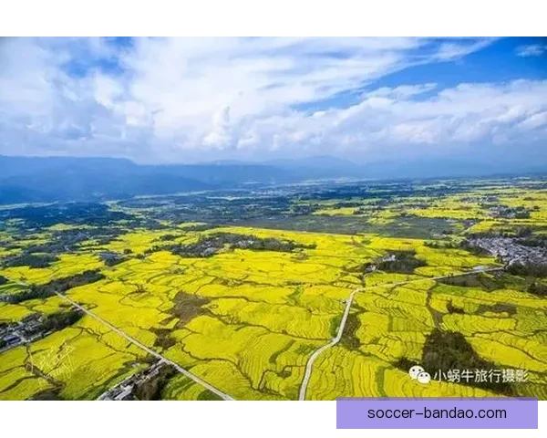 半岛体育全程足球赛事直播精彩回放与赛况分析